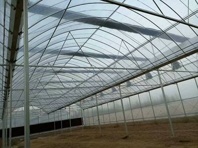 大棚管-湖北大棚管-中昱(推荐商家)