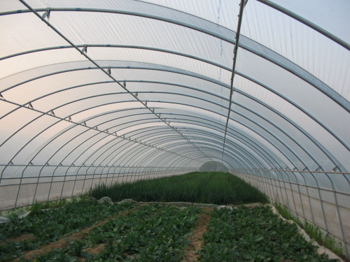 贵阳简易温室大棚-海商网,其他建筑和装饰材料产品库