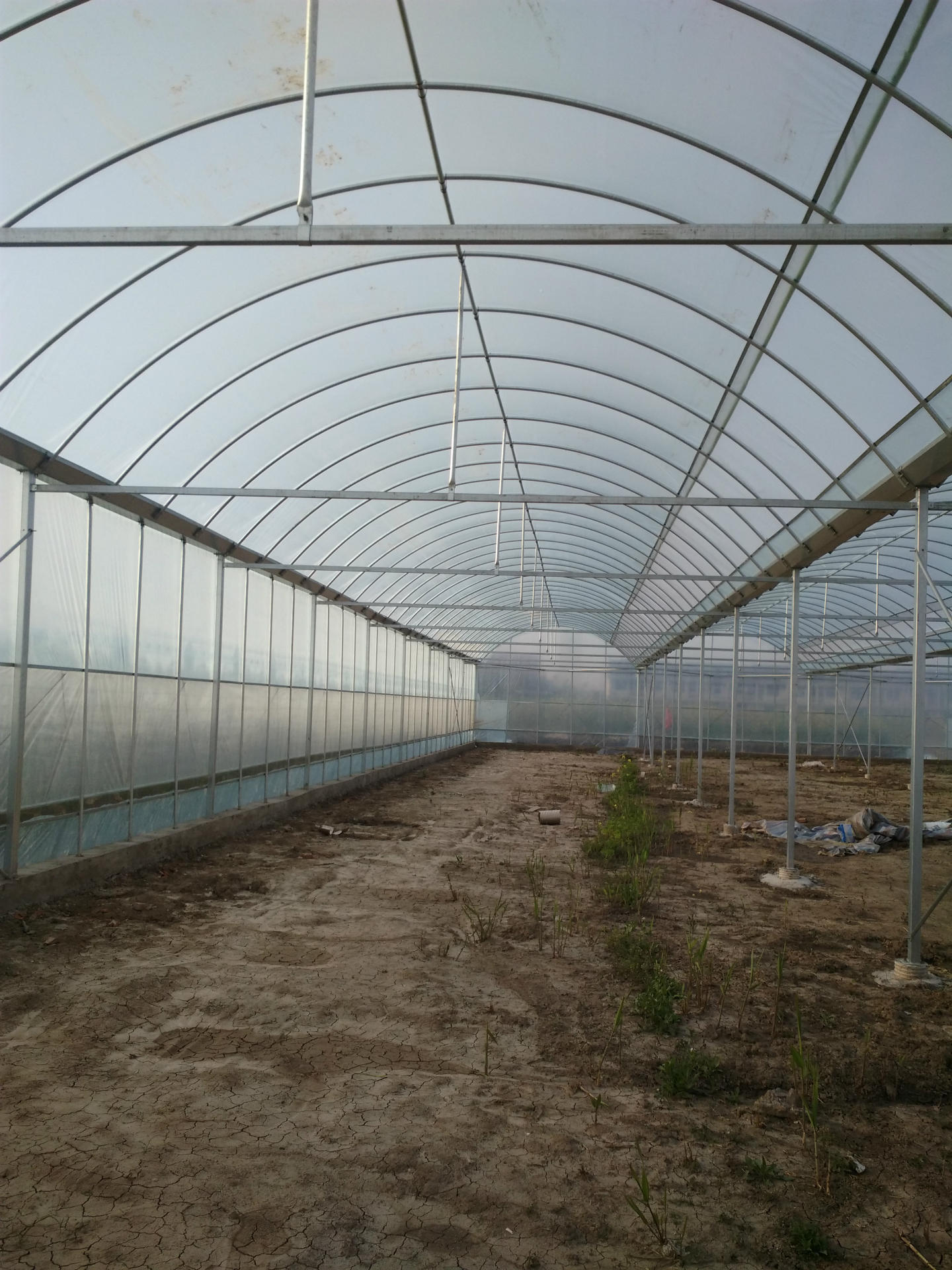 简易连体温室大棚造价_产品展示_无锡温室大棚厂