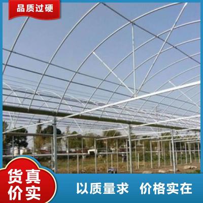蔬菜温室大棚管