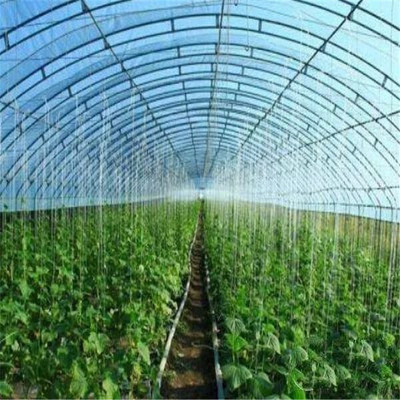 主营产品:玻璃温室 温室大棚 连栋薄膜温室