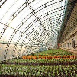 安徽塑料温室 安徽塑料温室厂哪家好 ,安徽塑料温室 安徽塑料温室厂哪家好 生产厂家,安徽塑料温室 安徽塑料温室厂哪家好 艾景园值得信赖