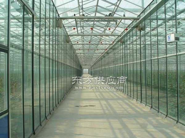 智能大棚温室大棚生态大棚图片