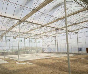 【智能温室大棚报价-汉威温室-淄博智能温室大棚图片】智能温室大棚报价-汉威温室-淄博智能温室大棚图片大全