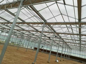 高质量连栋温室大棚骨架的辨别方法技巧