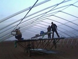 新型无支柱矩形管大棚骨架厂家,无柱支大棚价格,安阳概念大棚生产厂家产品图片高清大图