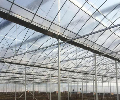 镀锌管蔬菜温室大棚详细内容介绍