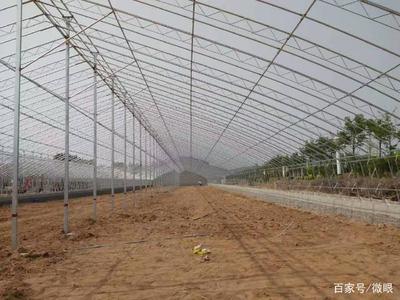 第五代温室大棚设计方案以及建设造价