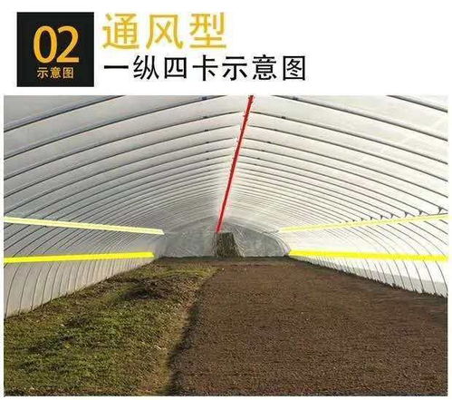 迁安大棚厂家连栋大棚 温室大棚需要多少钱