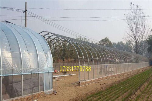 凤县温室大棚钢架成本