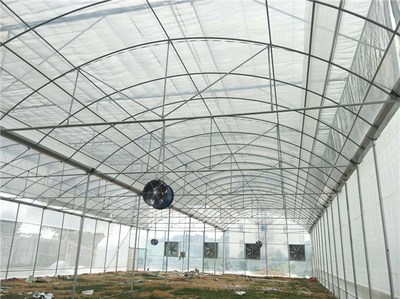 连栋温室大棚-大棚价格(在线咨询)-平果温室大棚