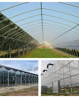 温室钢管大棚,锦鲤养殖温室