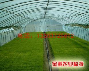 供应无支柱温室黄瓜大棚骨架大棚支架机镀塑钢管蔬菜大棚骨架_机械及行业设备_世界工厂网中国产品信息库