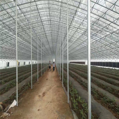 产品报价 连栋薄膜温室 薄膜温室大棚 服务热线