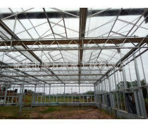 玻璃温室大棚