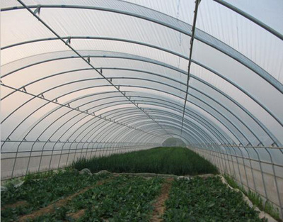 成都温室大棚