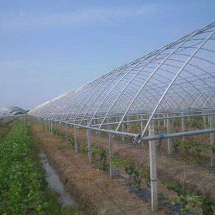 日光温室种植大棚骨架 温室大棚钢管 温室椭圆大棚钢管