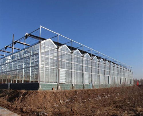 温室大棚今日报价 温室大棚 捷农温室工程在线咨询