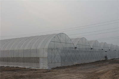 特价供应单体大棚 连栋大棚 蔬菜大棚 草莓大棚 葡萄大棚 日光温室 玻璃温室