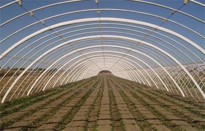 产品中心安阳市佳和农业服务