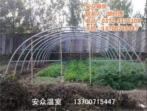 温室大棚 安众商贸 新疆地下温室大棚高清图片 高清大图