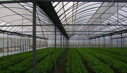 华为温室100 大棚建设玻璃连栋温室大棚建设都应用的方面