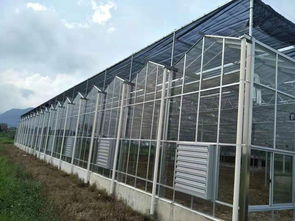 连体薄膜温室骨架厂玻璃温室钢架电动卷膜器