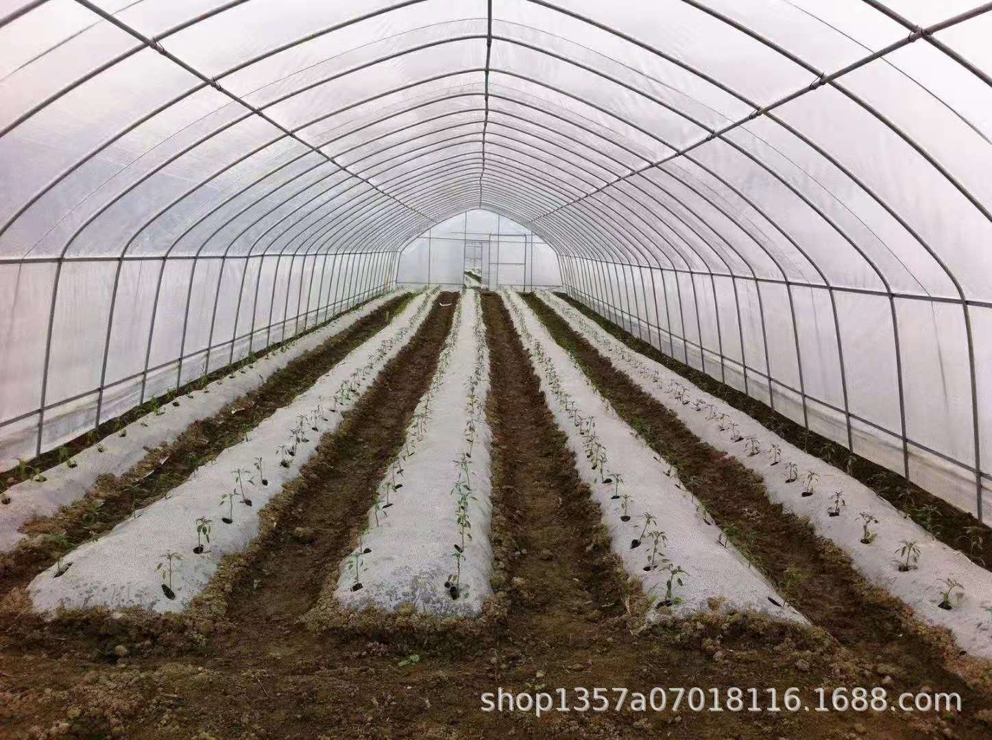 重庆批发蔬菜大棚管 万州 黔江镀锌管 四川达州大棚膜 大竹卡槽