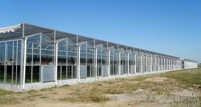 耀阳温室大棚 专业工程、优质设备与蔬菜大棚加温解决方案