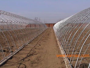 信誉卓越的温室大棚建造首选——华亮重工光伏农业大棚