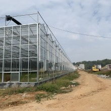 2019年温室大棚价格与批发概览