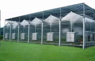 温室大棚的种类及优点