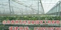 专业温室大棚建设首选——青州市万红温室公司