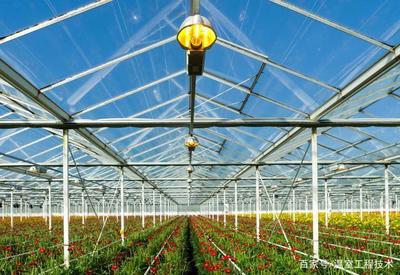 荷兰先进玻璃温室大棚 科技农业的典范与千万造价的背后