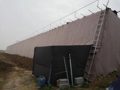 温室大棚夯实稳定脱贫基础，可持续经济发展区扶贫项目管长远