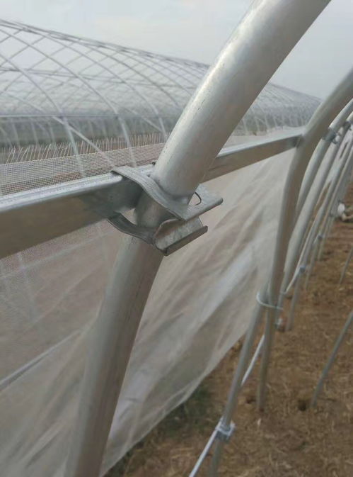 河南三门峡义马建设一亩镀锌管温室大棚的成本及厂家推荐