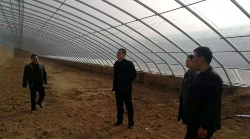 城关街道褚王村集体经济走上康庄大道 轻钢龙骨加工厂与日光温室大棚助力脱贫腾飞