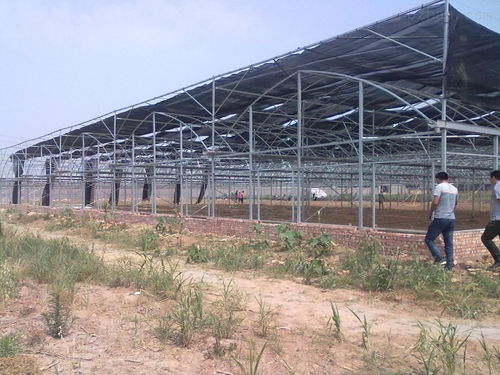 通许联栋棚加工厂——推动现代温室大棚产业发展的引领者