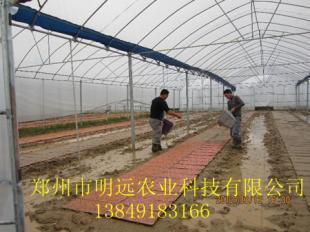 郑州濮阳与开封许昌温室大棚保温被的应用与发展