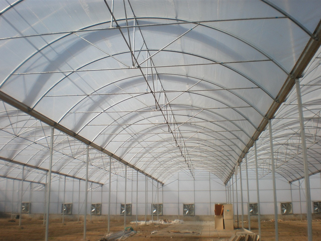 连栋塑料大棚的优势与应用——以山东泰蓝特温室工程为例