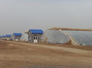 寿光绿隆温室大棚工程 引领现代农业发展的绿色引擎