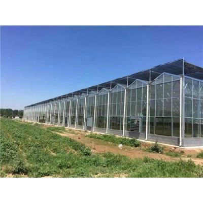 贵贵温室 现代化农业的守护者